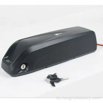 Professional 24V 36V 10AH/ 20AH/ EBIKE Batterie